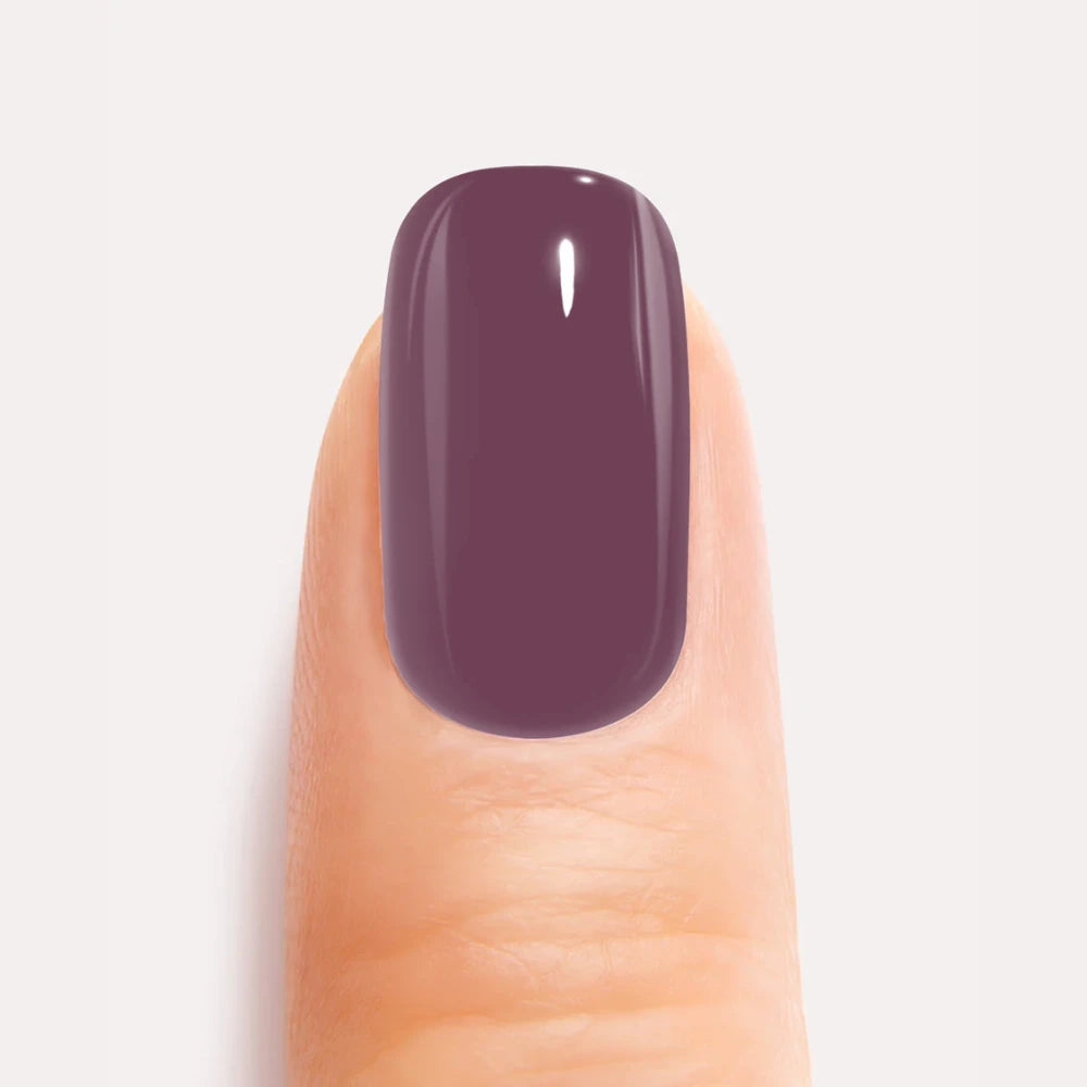 Dusty Mauve Gel Nail Strips Kit